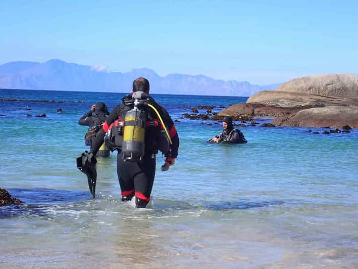 20 Best Scuba Diving Experiences In Cape Town