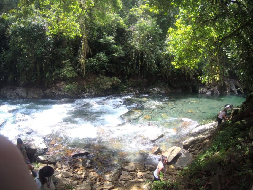 Crystal River: Crystalline Waters, Stunning Landscapes