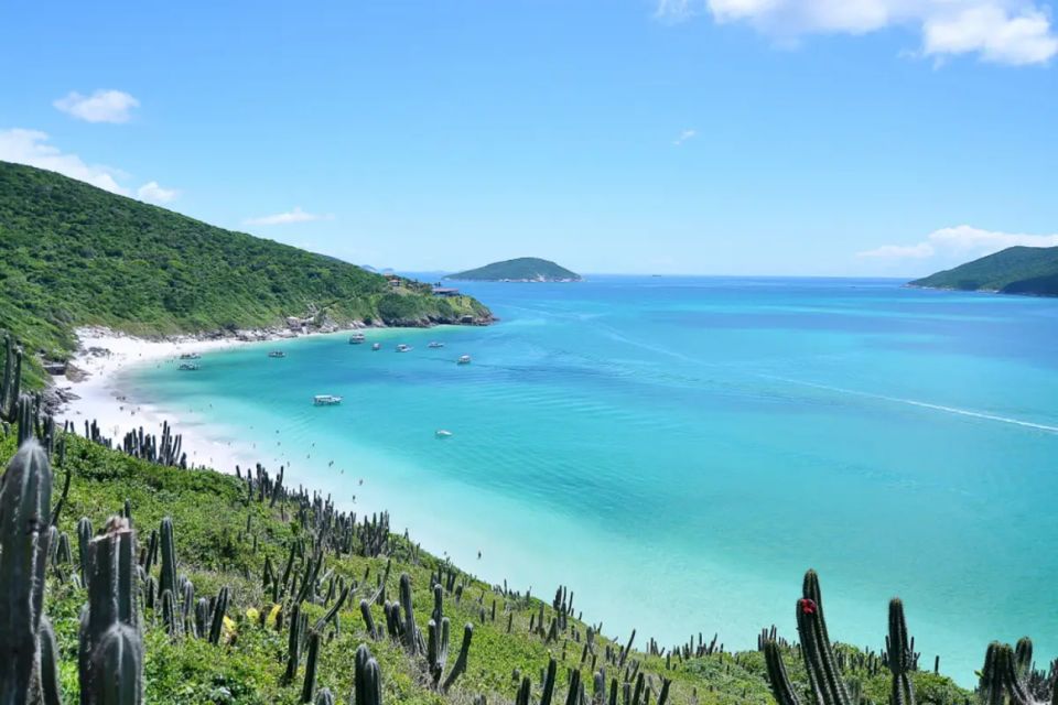 Arraial Do Cabo, the Brazilian Caribbean - Exceptional Diving and Marine Life