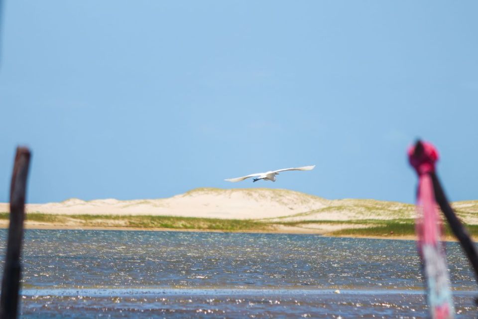 Cumbuco: Beach Trip With Pickup, Swimming, and Activities - Frequently Asked Questions